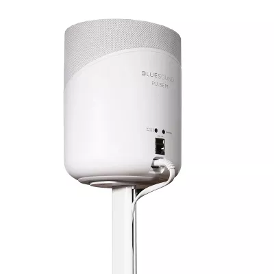 Bluesound FS231 a Ginevra | Digistore.ch